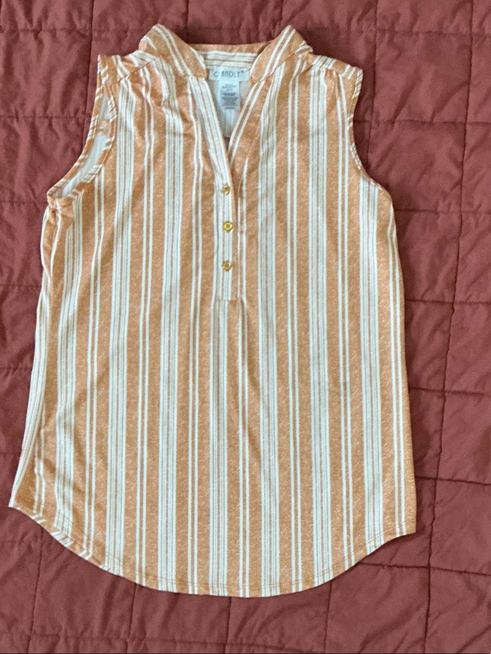 Sleeveless Striped V-Neck Camisole - Rust & White